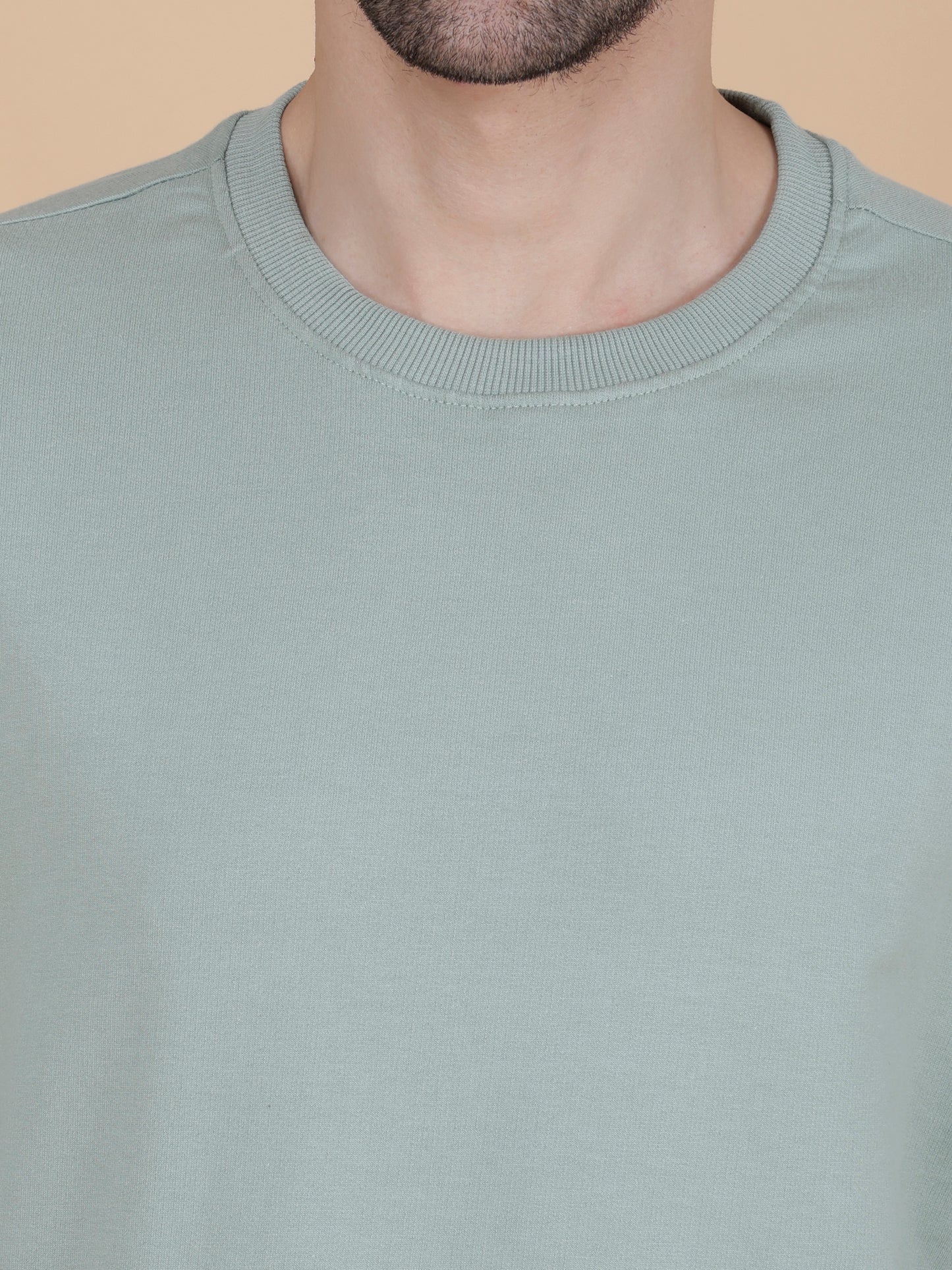 Oversized Solid (Light Green)